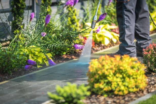 Best Gutter Cleaning  in Midland, WA