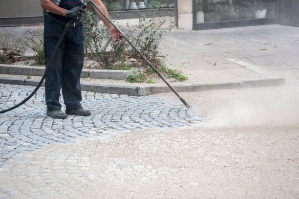 Animal Enclosure Cleaning in Midland, WA